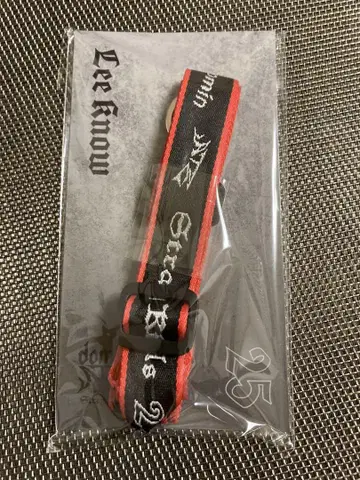 Stray Kids 리노 dominATE JAPAN 넥스트랩