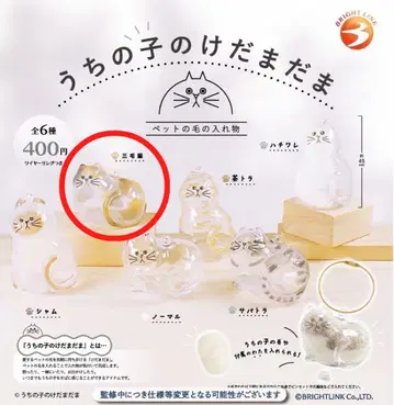 우리 아이의 털 반려동물의 털을 담는 용기 삼색 고양이