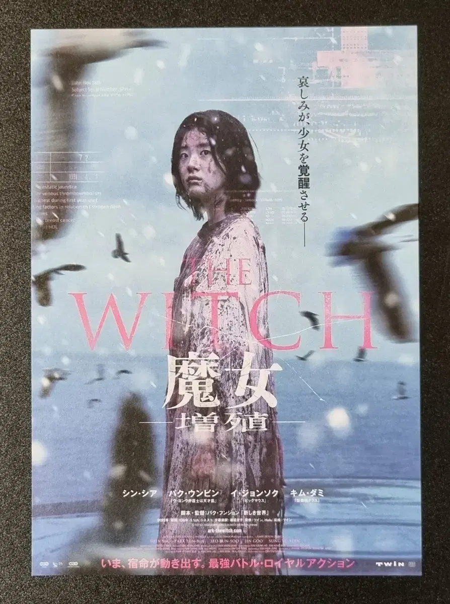[Movie Pamphlet] The Witch 2 Japan A (2022) Cynthia Park Eunbin Lee Jongsuk Movie Flyer