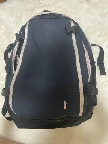이스트 보이 백팩 통학