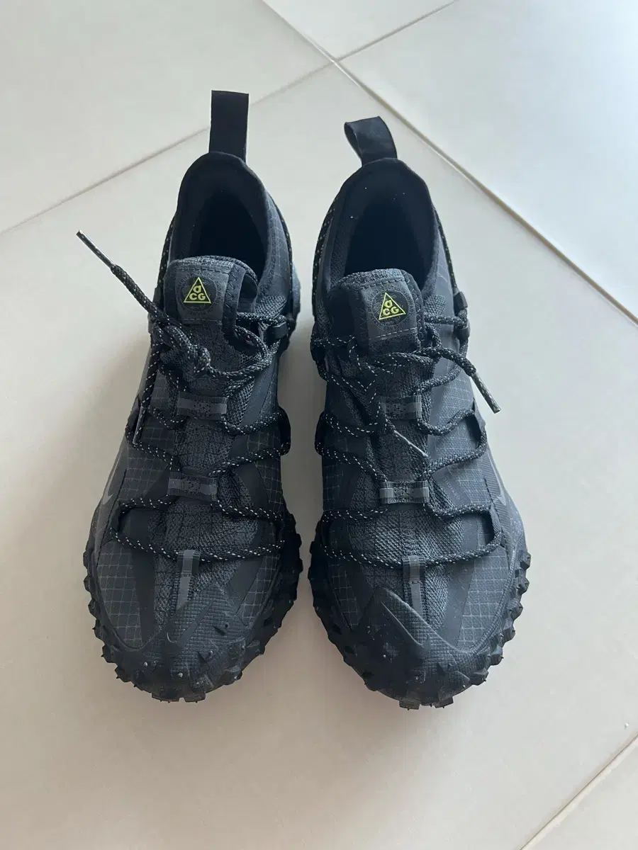 Nike ACG Mountain Fly Low Gore-Tex 260