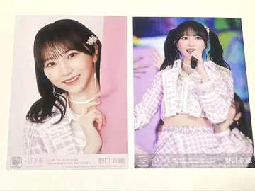 노구치 이오리 브로마이드 아레나 투어
