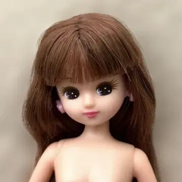 리카짱 F