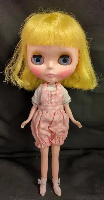 타카라토미 네오 브라이스 하이 호마린