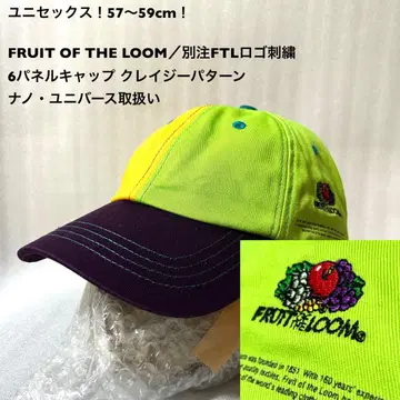 FRUIT OF THE LOOM/별주 FTL 로고 자수 6패널 캡 클레이
