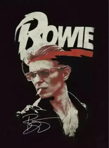 데이비드 보위 티셔츠 David Bowie 그램 락 레어