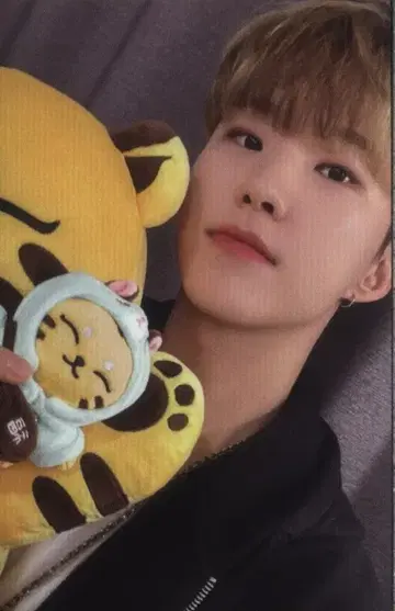 세븐틴 호시 아티스트 메이드 컬렉션