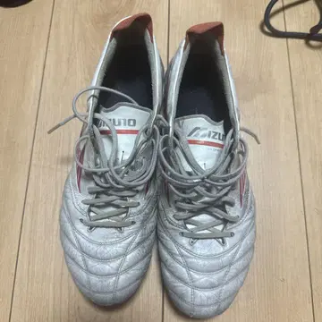 Mizuno 모레리아 네오 4 화이트/레드