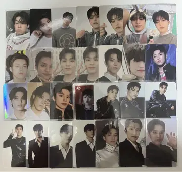보물 존우