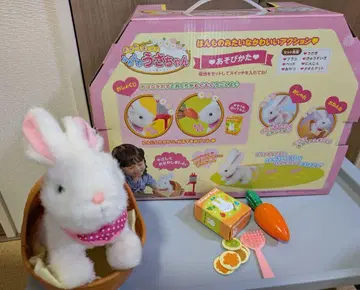 도와드릴까요? 부드러운 토끼님