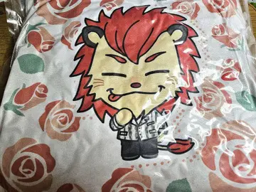 라이지 쿠션