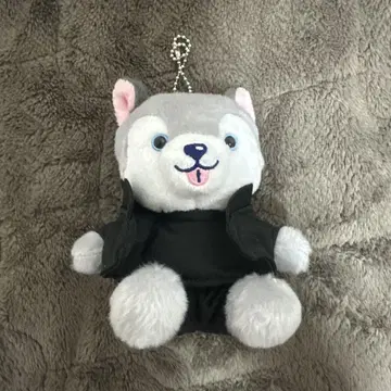 노키도라 마쓰무라 호쿠토 타오리 개 봉제 인형