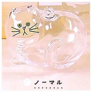 우리 집의 코케다마 노멀