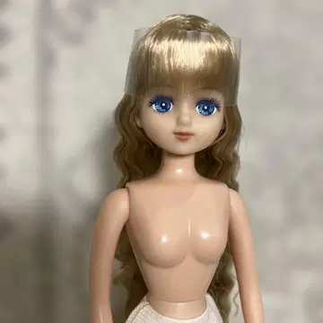 즐거운 인형 팔레트 F1