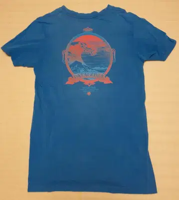 파타고니아 PATAGONIA 컬러 파랑 티셔츠 HALE'IWA 사이즈 S