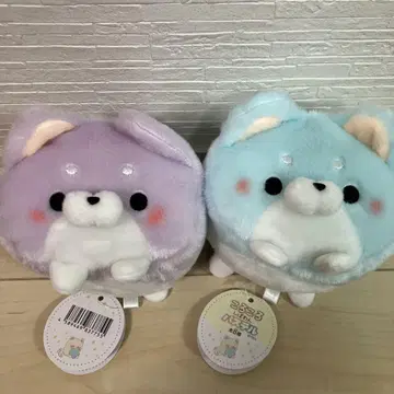 코로코로 시바완 파스텔 2개 세트