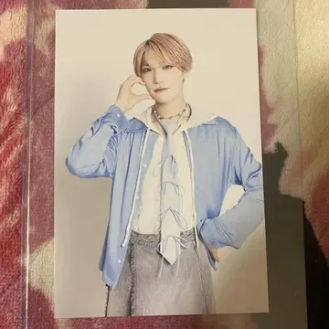 팬더 드래곤 타이 엽서