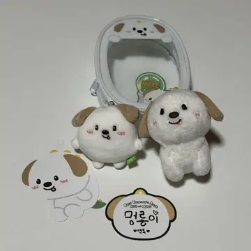 RIIZE 앤톤 몽리온 세트