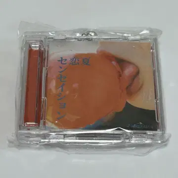 마카로니 연필 CD풍 키링 여름 사랑 센세이션