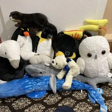 동물 봉제 인형 세트