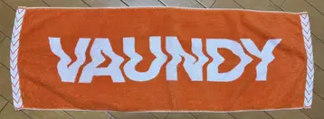 Vaundy 타월