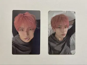 ENHYPEN daydream 히스