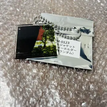 나카야마 미호 싱글 자켓 키링 A place under the sun