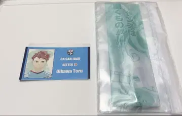 하이큐 팬 파크 오이카와 토오루