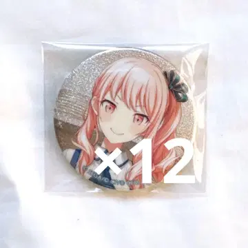 프로세카 33b 미즈키 12개
