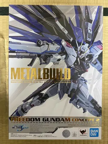 METAL BUILD FREEDUM GUNDAM CONCEPT2