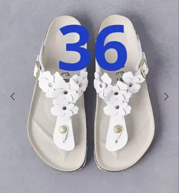 유나이티드 애로우즈 별주 버켄스탁 기제 플라워 사이즈 36 완판