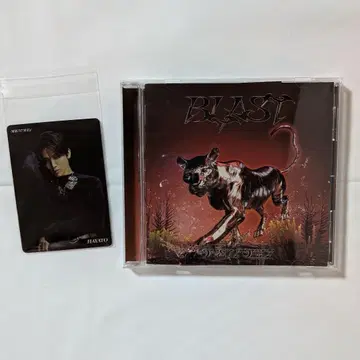 HMV g 매장 특전 트레이딩 카드 HAYATO 씨
