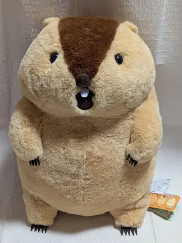 마모트의 모토토 울트라 BIG 봉제 인형