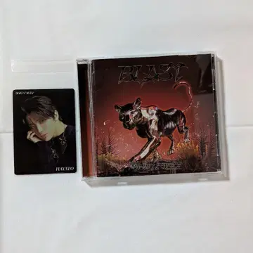 타워 레코드 매장 혜택 HAYATO 씨