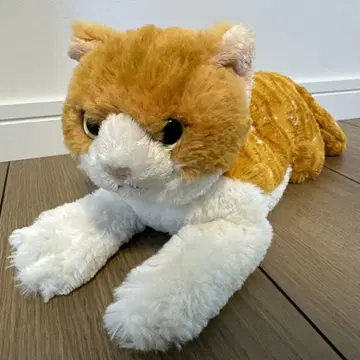 선 레몬 무릎 고양이 S 사이즈 차시로
