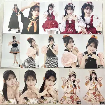 FRUITS ZIPPER 진사이 스즈카 브로마이드 모음 2