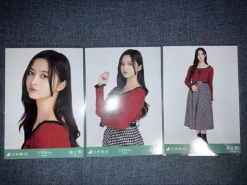 노기자카46 브로마이드 하운드투스 체크 컴프 이노우에 카즈