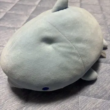 돌고래 봉제 인형