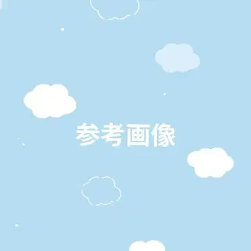 의상 오더 참고 이미지