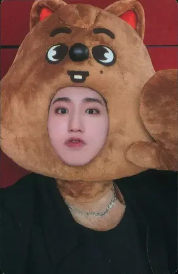 스트레이키즈 JYP SHOP 한 맥시덴트 SKZOO 한