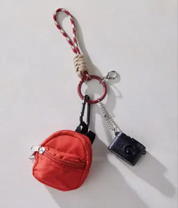 카라나비 참 ear PAPILLONNER 이아파피요네 스미 스타일