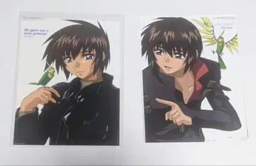 건담 SEED DESTINY 사진 컬렉션 CellDX 키라