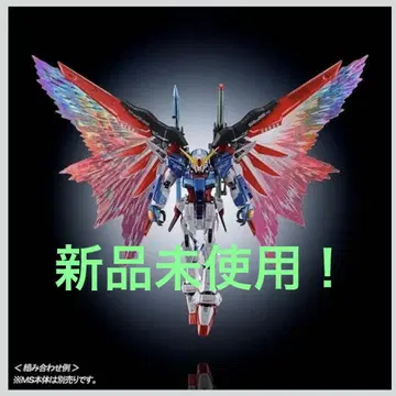 데스티니 건담 RG 1/144 프리미엄 반다이 한정판 빛의 날개 세트