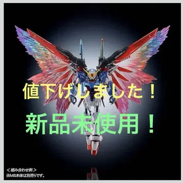 데스티니 건담 RG 1/144 프리미엄 반다이 한정판 빛의 날개 세트