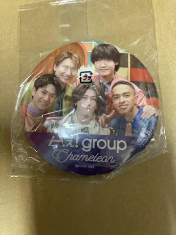 A! group Chameleon 타워 레코드 혜택 배지 단독 새상품