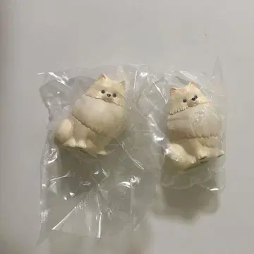 산책 포메 라이트