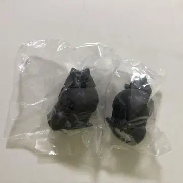 산책 포메 라이트