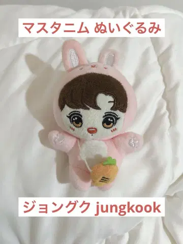 BTS 정국 정국 jungkook 마스터 인형 봉제 인형