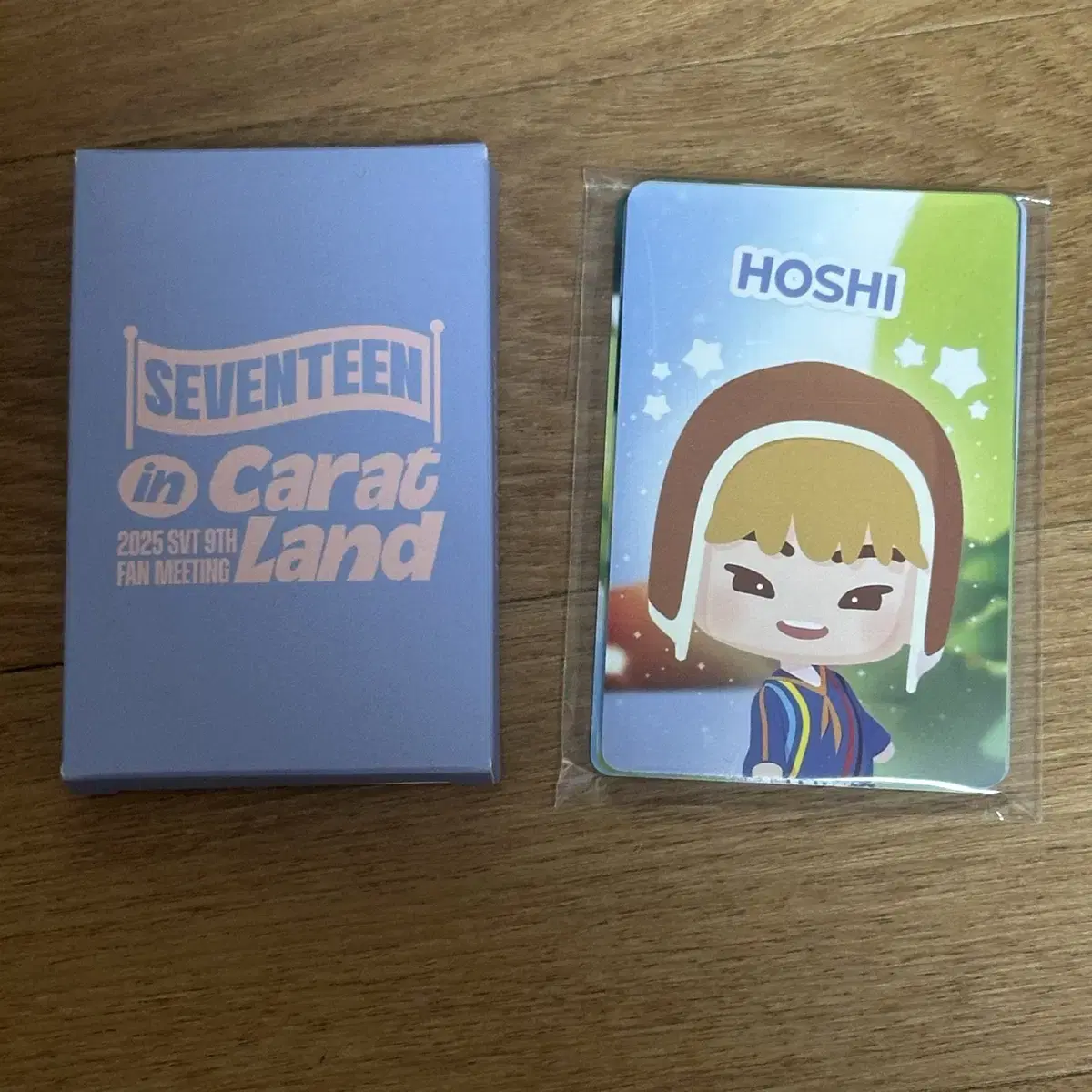 SEVENTEEN | 세븐틴 Seventeen Carat Zone Puzzle Tin Set