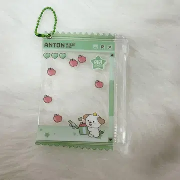 RIIZE pvc 트레이딩 카드 케이스